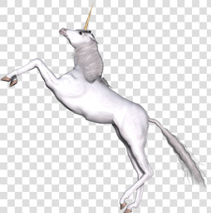 Full White Unicorn Prancing   Unicorn  HD Png Download