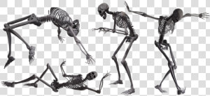 Skeleton Crawling Png  Transparent Png