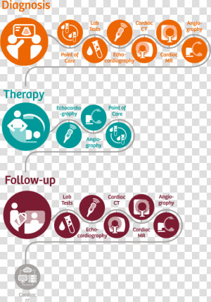 Pathway Pathway Pathway   Cardiology  HD Png Download