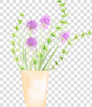 Spring Growing Plant Cartoon Transparent   Flowerpot  HD Png Download