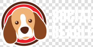 Beagle  HD Png Download