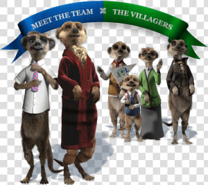 2 0 Ctm Meetthemeerkats 02 V21   Compare The Meerkat Meerkats  HD Png Download