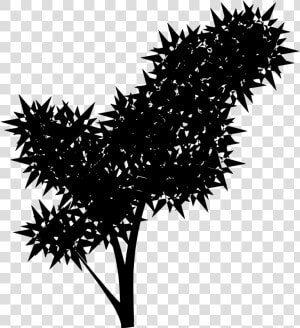 Shrub Silhouette Png  Transparent Png