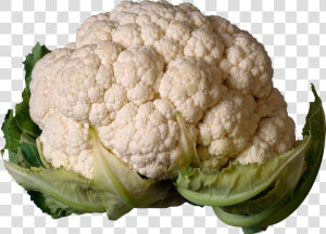 Download For Free Cabbage Png In High Resolution   Cauliflower Png  Transparent Png