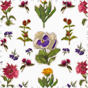 Pansies And Friends  HD Png Download