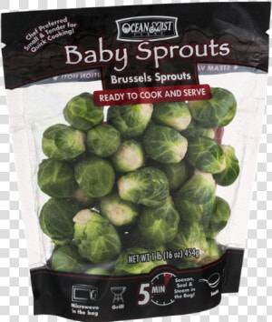 Brussels Sprout  HD Png Download