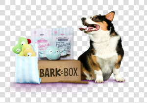 0 Replies 0 Retweets 0 Likes   Barkbox  HD Png Download