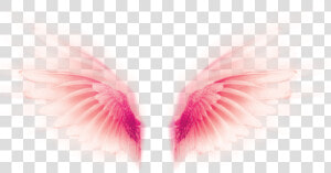  wings  fly  tumblr  rosa  pink  pastel  cute  fofo   Close up  HD Png Download