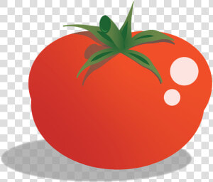 Tomato  Ripe  Fresh  Tomatoes  Vegetables   Cherry Tomatoes  HD Png Download