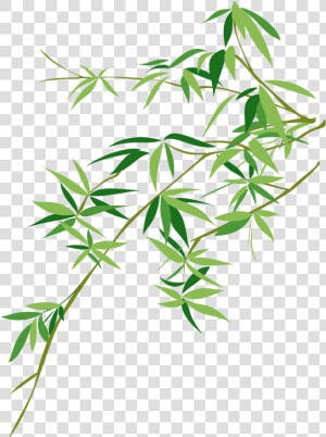 Vector Bamboo Bambusodae Painting Chinese Png Download   Bamboo Leaf Vector Png  Transparent Png