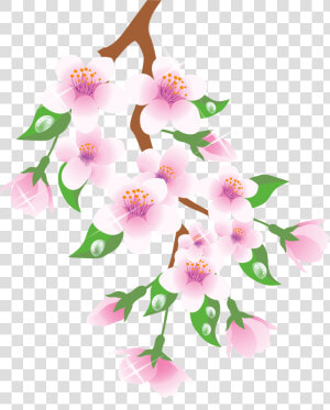 Spring Branch Pink Png Clipart   Spring Branch Clipart  Transparent Png