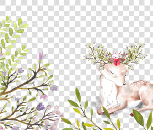 Sika Deer With Flowers Background Free Buckle Png  Transparent Png