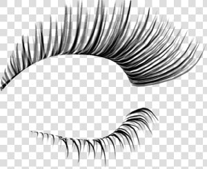  eyelashes   Eyelashes Transparent Background  HD Png Download