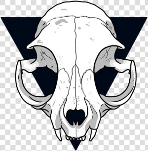 Cat Skull   Cat Skull Line Drawing  HD Png Download