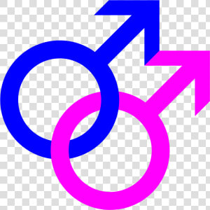 Gay Png   Gay Sign  Transparent Png