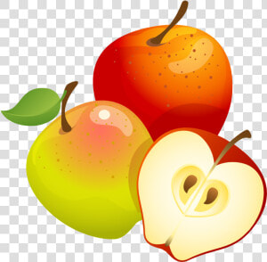 Fall Apple Clipart   Apples And Honey Clip Art  HD Png Download