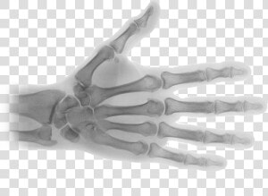 X ray Transparent Image   Transparent X Ray Png  Png Download