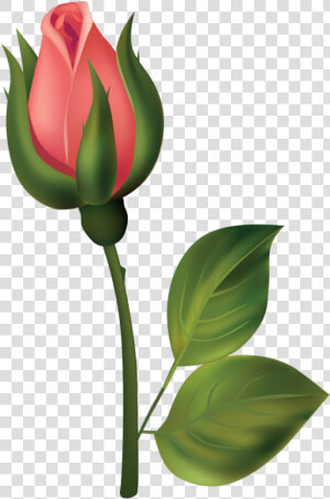 Stem Red Rose Bud Png Clipart   Flower Bud Bud Clipart  Transparent Png