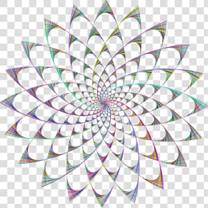 Flower leaf symmetry  HD Png Download