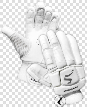 Savage Premium Cricket Batting Gloves   Hand  HD Png Download