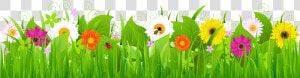 Flowers Grass Png Images Clipart   Grass And Flowers Clipart Png  Transparent Png