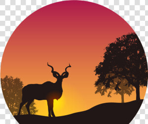 Sunset In The Wild Png Image   Kudu Silhouette Sunset  Transparent Png