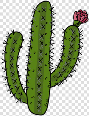 Cactus  Cactus Illustration  Arizona  Saudi Arabia   Cacto Do Deserto Png  Transparent Png