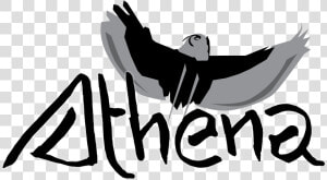 Athena Logo Athena Logo Clipart   Png Download   Illustration  Transparent Png