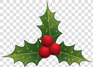 Mistletoe Clipart Png  Transparent Png