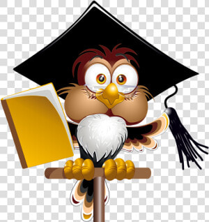 Owl With School Png   Owl Png Vector School  Transparent Png