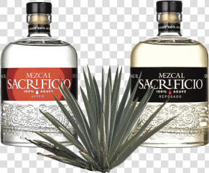 Botellas Mezcal Sacrificio   Mezcal Sacrificio  HD Png Download