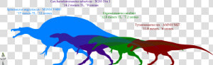 Giganotosaurus Size Comparison  HD Png Download