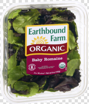 Earthbound Farm Organic Baby Spinach  HD Png Download