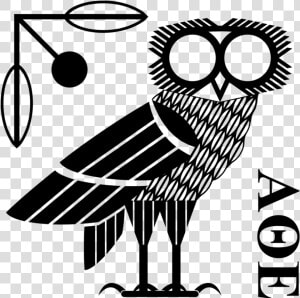 Drawn Illuminati Owl   Owl Of Minerva Art  HD Png Download