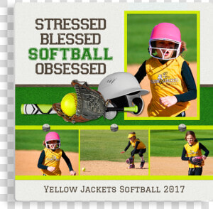 Softball Obsessed Panel   College Softball  HD Png Download