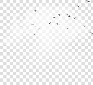  birds  clouds  background  overlay  aesthetic  icon   Darkness  HD Png Download