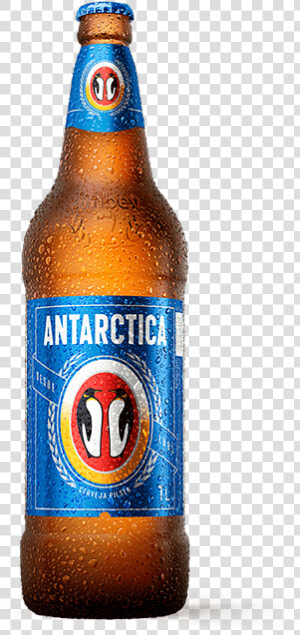 Antarctica Png  Transparent Png