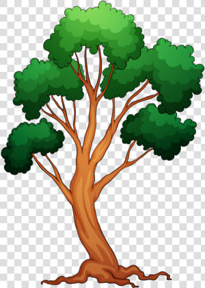 Memories Clipart Colorful Tree   Various Trees  HD Png Download