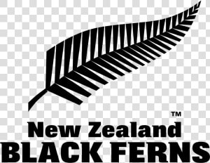 New Zealand Black Ferns   New Zealand All Blacks Fern  HD Png Download