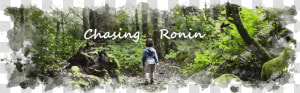 Chasing Ronin   Old growth Forest  HD Png Download