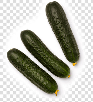 Summer squash   Zucchini  HD Png Download