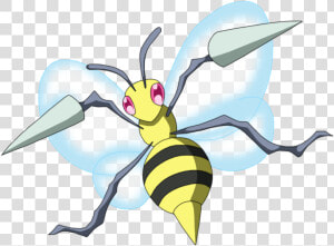 97 Beedrill Pokémon Bulbapedia The Community Driven   Honeybee  HD Png Download