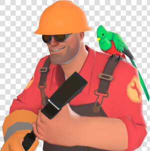 Engineer Quizzical Quetzal  HD Png Download