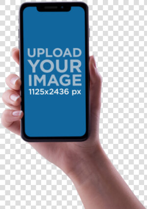 Hand Holding Iphone Png   Iphone X With Hand  Transparent Png