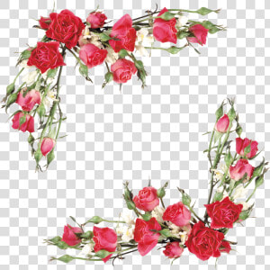 Branch Vector Rose   Flower Rose Border Design Png  Transparent Png