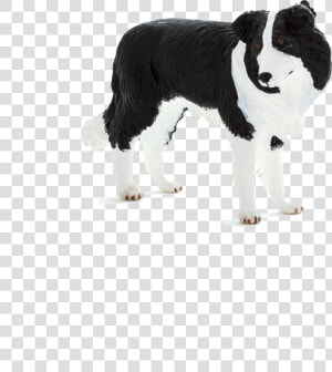 Chien Français Blanc Et Noir  HD Png Download