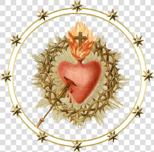 Most Sacred Heart Of Jesus Have Mercy  HD Png Download