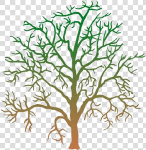 Transparent Dying Tree Silhouette  Png Clip Art   Halloween Week  Png Download