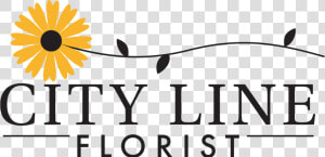 Logo For City Line Florist Trumbull   African Daisy  HD Png Download