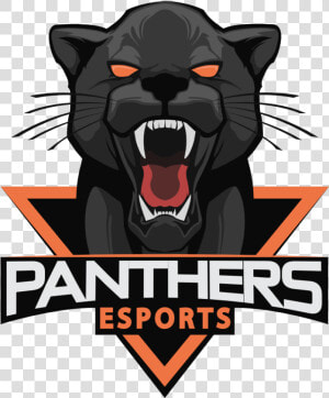 Panthers Esports   No Copyright Esports Logo  HD Png Download